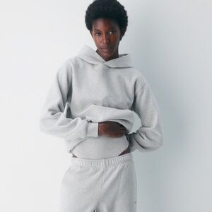 Aritzia Cozy Sweatfleece Perfect Hoodie (size M)